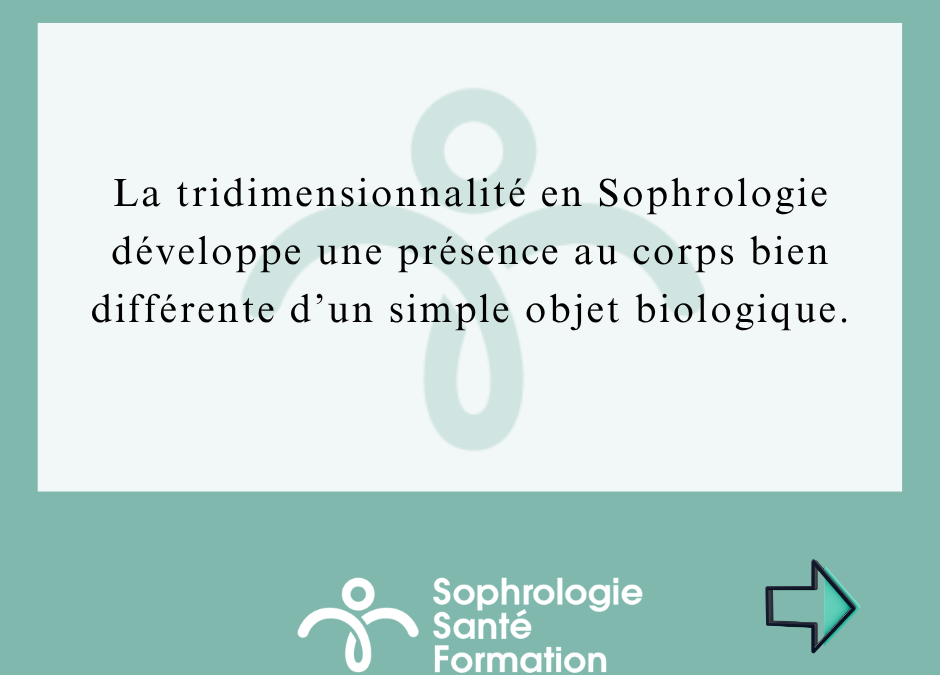 Tridimensionnalité en Sophrologie : Clé pour équilibre passé, présent et futur